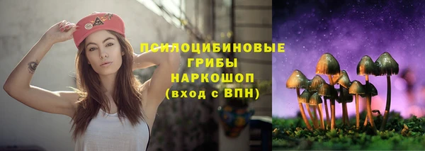 гидропоника Кулебаки