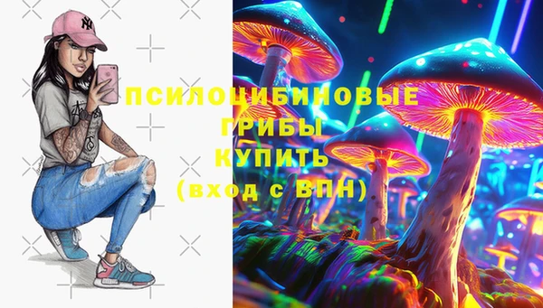 гидропоника Кулебаки
