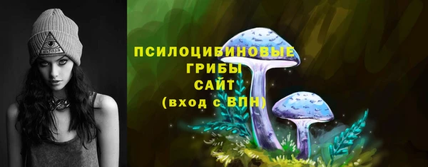 гидропоника Кулебаки