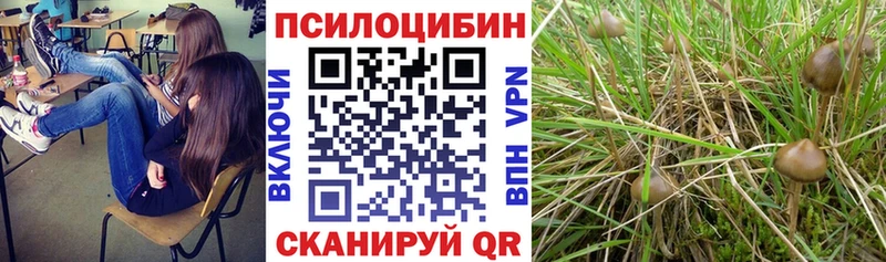 Галлюциногенные грибы мицелий  Купить  Переславль-Залесский 